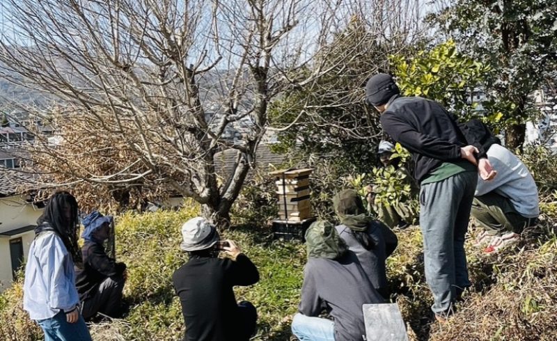 2026年度　養蜂教室